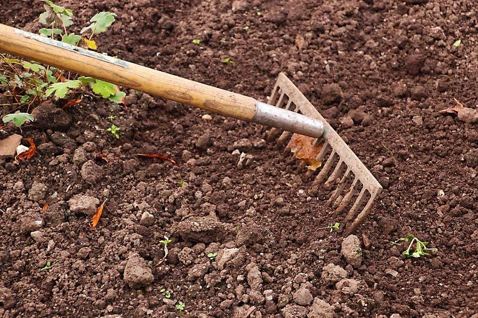 Aménager un jardin accueillant avec peu d'entretien