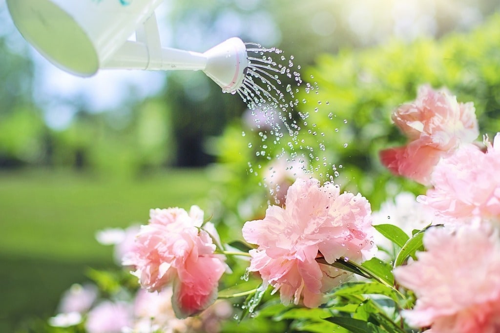 Créer un jardin zen en quelques étapes simples