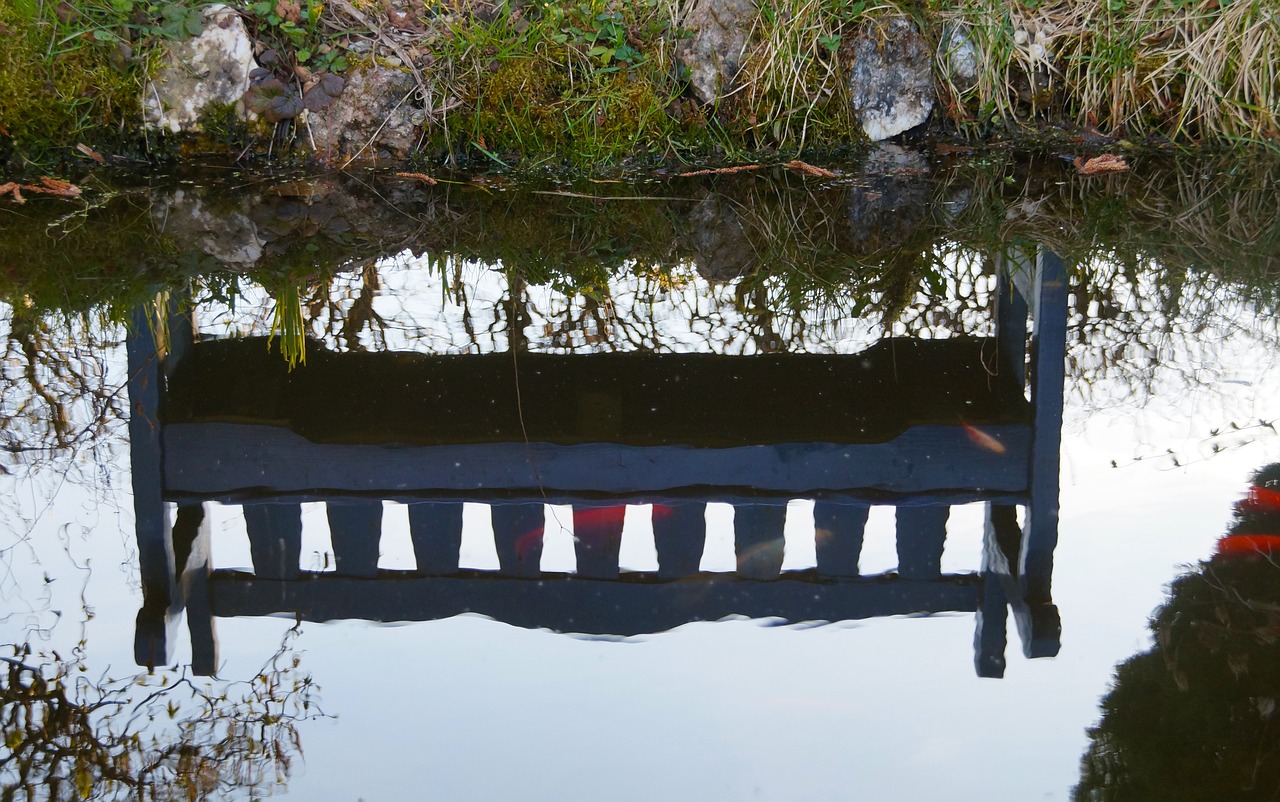 Faire installer un bassin d'agrément dans le Nord par un paysagiste